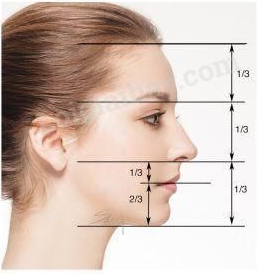 Mĩ thuật lớp 8 Bài 13: Giới thiệu tỉ lệ khuôn mặt người