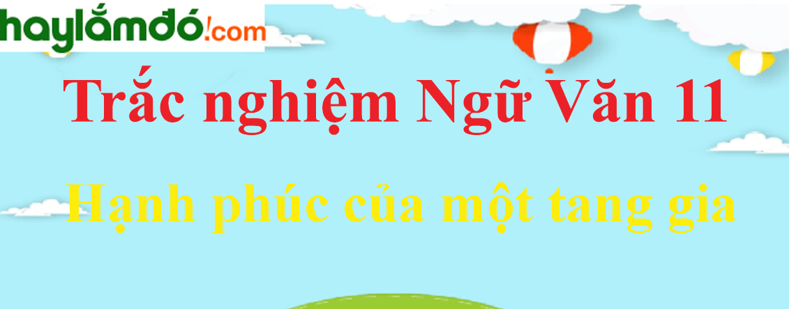 Trắc nghiệm Hạnh phúc của một tang gia có đáp án