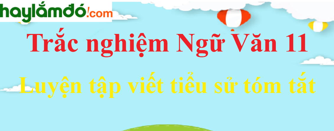 Trắc nghiệm Luyện tập viết tiểu sử tóm tắt có đáp án