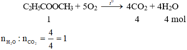 C<sub>2</sub>H<sub>5</sub>COOCH<sub>3</sub> + 5O<sub>2</sub> → 4CO<sub>2</sub> + 4H<sub>2</sub>O | Cân bằng phương trình hóa học