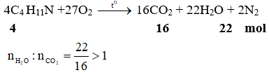 4C4 H11N +27O2 →  16CO2 + 22H2O + 2N2 | Cân bằng phương trình hóa học