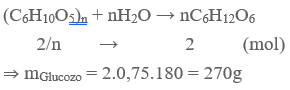 (C6H10O5)n + H2O → nC6H12O6  | Cân bằng phương trình hóa học