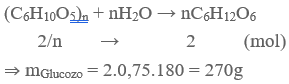 (C6H10O5)n + H2O → nC6H12O6  | Cân bằng phương trình hóa học