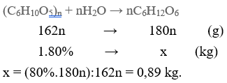 (C6H10O5)n + H2O → nC6H12O6  | Cân bằng phương trình hóa học