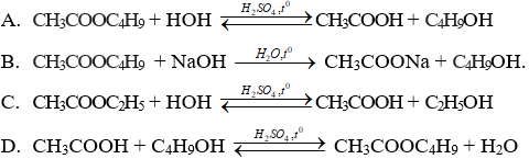 CH<sub>3</sub>COOC<sub>4</sub>H<sub>9</sub> + NaOH   CH<sub>3</sub>COONa + C<sub>4</sub>H<sub>9</sub>OH | Cân bằng phương trình hóa học