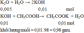 K2O + 2CH3COOH → 2CH3COOK + H2O | Cân bằng phương trình hóa học