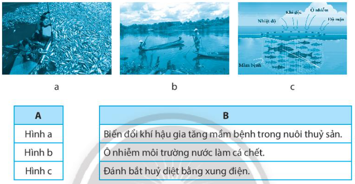 Nối hình ảnh (cột A) với nguyên nhân làm ảnh hưởng môi trường và nguồn lợi thủy sản (cột B)