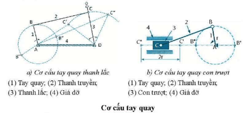 Hãy quan sát hình dưới đây và điền vào chỗ trống trong bảng để so sánh cơ cấu