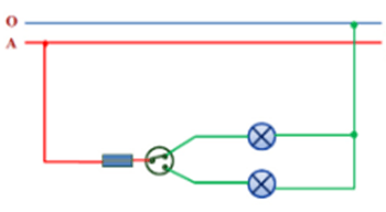 Hãy sử dụng các kí hiệu điện đã học để vẽ sơ đồ mạch điện dùng một công tắc đơn để bật, tắt hai bóng đèn