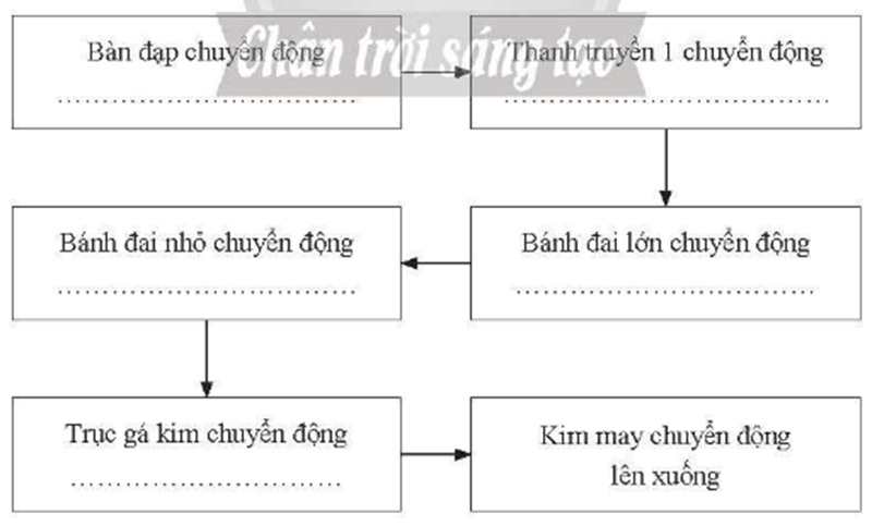 Dựa vào hình bên, em hãy điền các dạng chuyển động vào chỗ trống