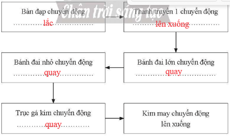 Dựa vào hình bên, em hãy điền các dạng chuyển động vào chỗ trống