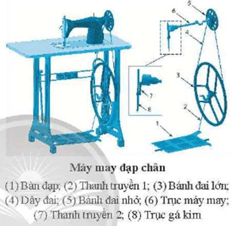 Dựa vào hình bên, em hãy điền các dạng chuyển động vào chỗ trống