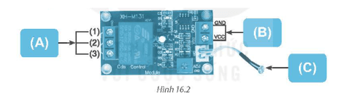 Ghi rõ tên các vị trí tương ứng của mô đun cảm biến ánh sáng XH M131 (Hình 16.2)