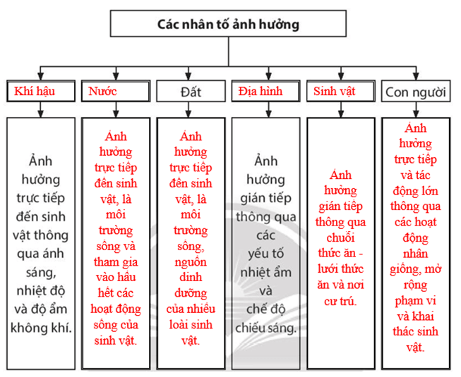 Dựa vào nội dung mục II, bài 15 trong SGK, em hãy hoàn thành sơ đồ