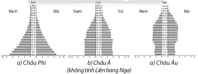 Hình thái kiểu tháp dân số của châu lục nào sau đây thể hiện được tỉ lệ dân số