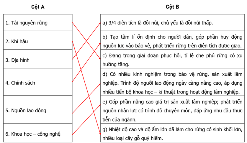 Nối các ý ở cột A với các ý ở cột B cho phù hợp với thế mạnh và hạn chế trong phát triển lâm nghiệp