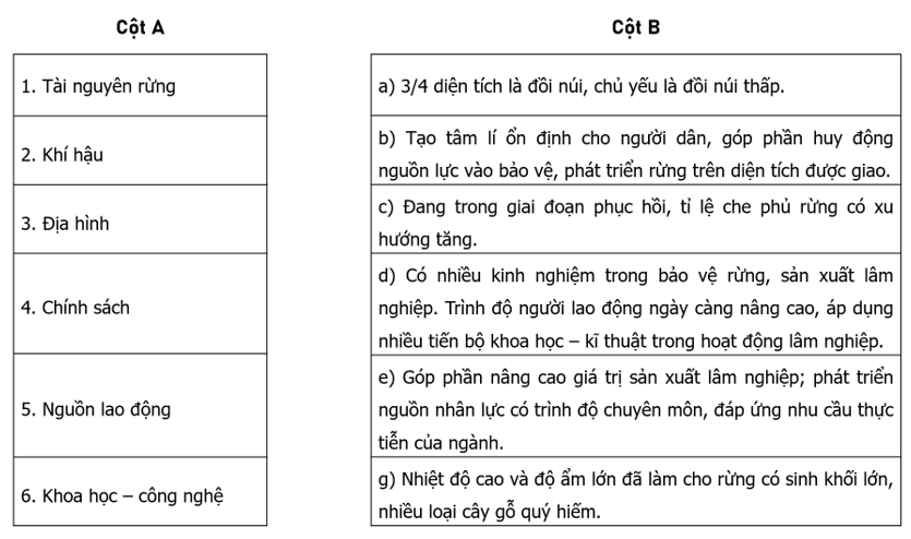 Nối các ý ở cột A với các ý ở cột B cho phù hợp với thế mạnh và hạn chế trong phát triển lâm nghiệp