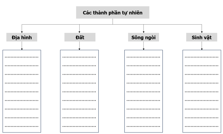 Hoàn thành thông tin về biểu hiện của thiên nhiên nhiệt đới ẩm gió mùa ở nước ta