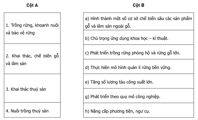 Nối các ý ở cột A với các ý ở cột B cho phù hợp với xu hướng phát triển ngành lâm nghiệp