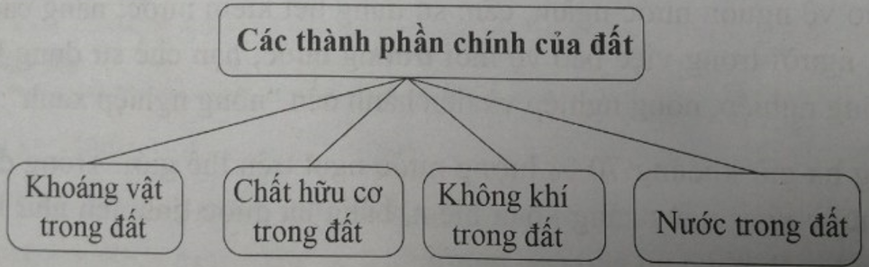 Bài 21: Lớp đất trên Trái Đất