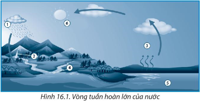 Bài 16. Thủy quyển. Vòng tuần hoàn nước. Nước ngầm, băng hà