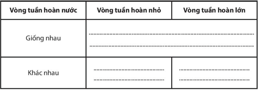 Bài 16. Thủy quyển. Vòng tuần hoàn nước. Nước ngầm, băng hà