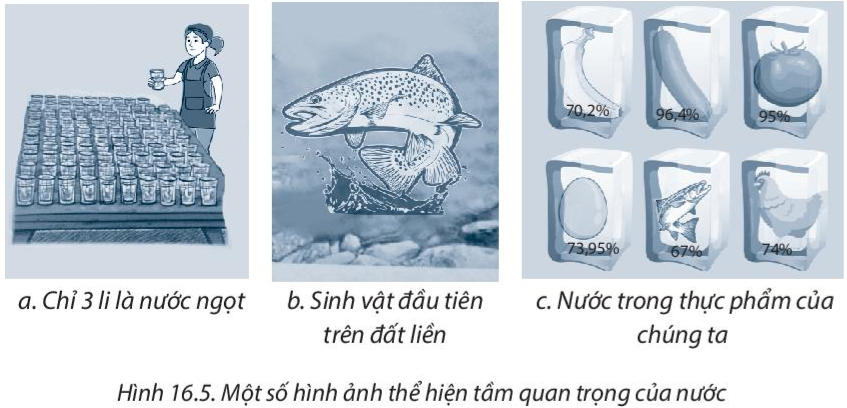 Bài 16. Thủy quyển. Vòng tuần hoàn nước. Nước ngầm, băng hà