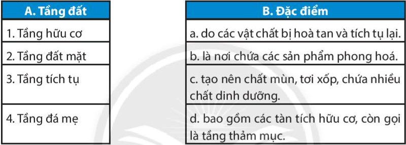 Bài 19. Lớp đất và các nhân tố chính hình thành đất. Một số nhóm đất điển hình