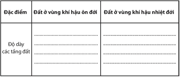 Bài 19. Lớp đất và các nhân tố chính hình thành đất. Một số nhóm đất điển hình