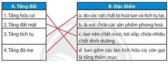 Bài 19. Lớp đất và các nhân tố chính hình thành đất. Một số nhóm đất điển hình