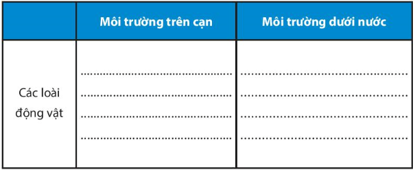 Bài 20. Sinh vật và sự phân bố các đới thiên nhiên. Rừng nhiệt đới