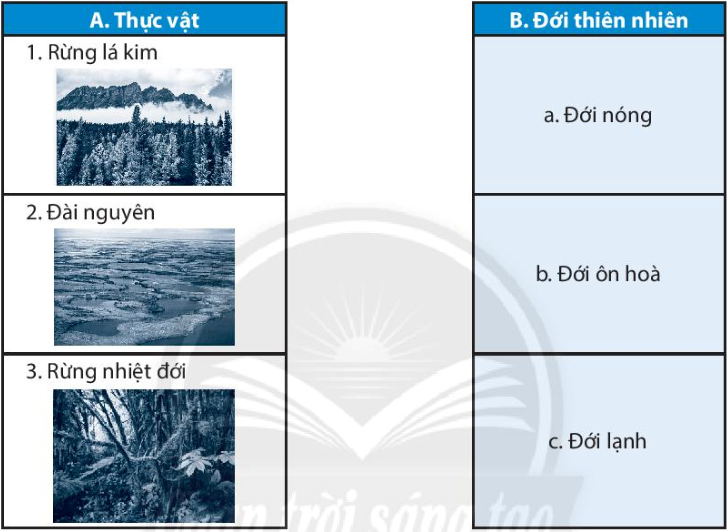 Bài 20. Sinh vật và sự phân bố các đới thiên nhiên. Rừng nhiệt đới