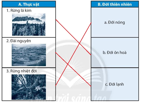 Bài 20. Sinh vật và sự phân bố các đới thiên nhiên. Rừng nhiệt đới