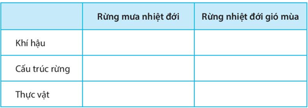 Bài 24: Rừng nhiệt đới