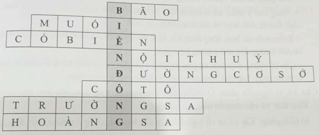 Giải các ô chữ sau theo gợi ý