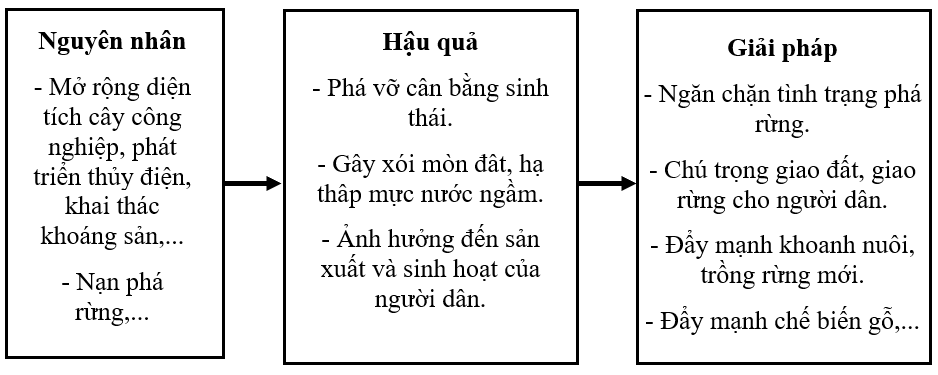 Vẽ sơ đồ thể hiện nguyên nhân, hậu quả của việc suy giảm rừng và giải pháp để bảo vệ rừng