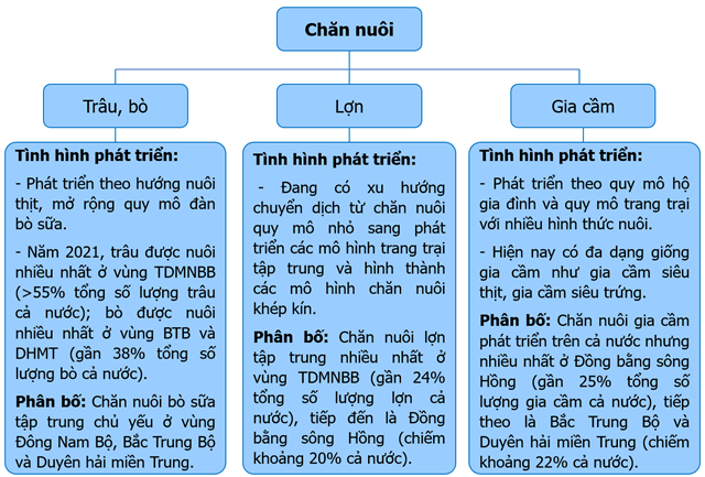 Lập sơ đồ theo gợi ý sau về sự phát triển và phân bố ngành chăn nuôi ở nước ta