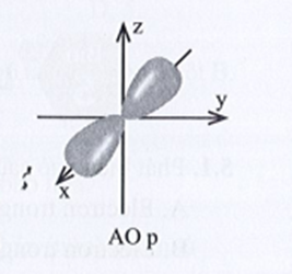 Hình ảnh bên mô tả AO p với hai thùy trang 11 sách bài tập Hóa học lớp 10