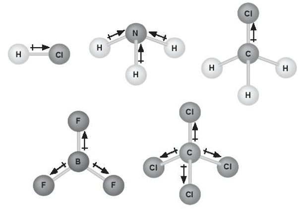 Biết phân tử BF3 có cấu trúc phẳng, phân tử CCl4 có cấu trúc hình tứ diện đều