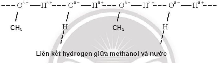 Biểu diễn liên kết hydrogen giữa các phân tử
