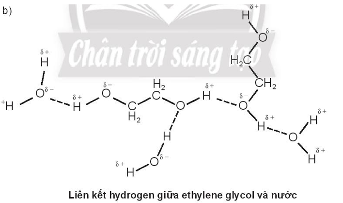 Biểu diễn liên kết hydrogen giữa các phân tử
