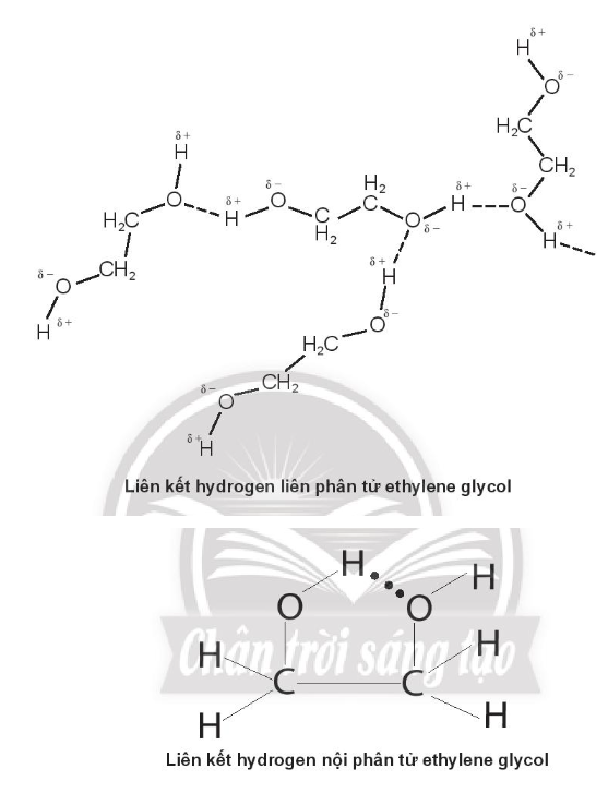 Ethylene glycol là một chất chống đông trong công nghiệp ô tô