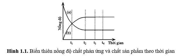 Quan sát Hình 1.1 và ghép mỗi đối tượng ở cột A với một mô tả thích hợp