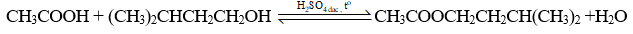 Phản ứng tổng hợp 3-methylbutyl acetate (isoamyl acetate) trong phòng thí nghiệm