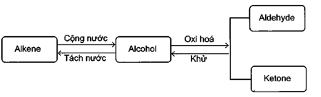 Cho sơ đồ phản ứng sau: Từ alkene ban đầu là C3H6, hãy viết các phản ứng tạo ra 