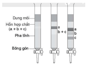 Quan sát hình mô phỏng thí nghiệm sắc kí cột sau