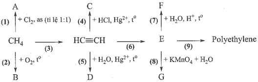 Hoàn thành sơ đồ chuyến hoá sau đây và viết các phương trình hoá học