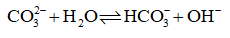 Trong dung dịch nước cation kim loại mạnh gốc acid mạnh không bị thuỷ phân