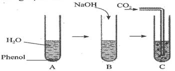 Thực hiện các thí nghiệm sau trang 77 Sách bài tập Hóa học 11