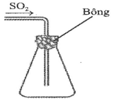 Một bạn học sinh thu khí SO2 vào bình tam giác và đậy miệng bình bằng bông tẩm dung dịch E 